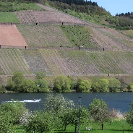 Apartment Ferienweingut Hansjosten Longuich