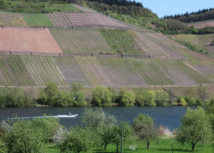 Apartment Ferienweingut Hansjosten Longuich